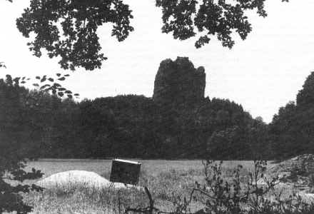 Falkenstein vom Wenzelweg, Foto: U. Meschke