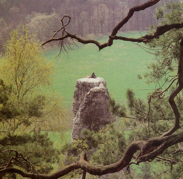 Türkenkopf, Foto: Christian Walter