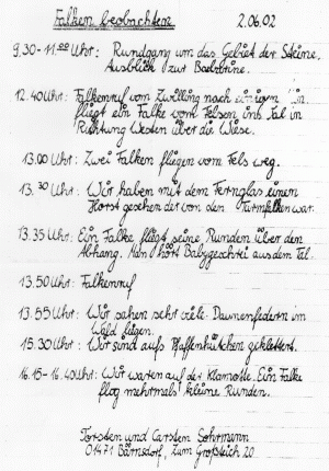 Protokoll der j�ngsten Wanderfalkenbewacher 2002